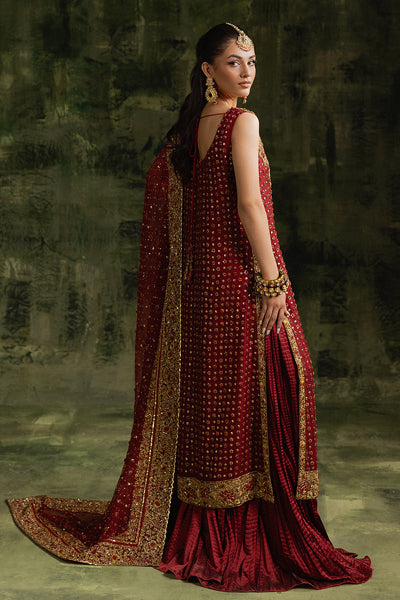 Zoya - Saranaqvistore