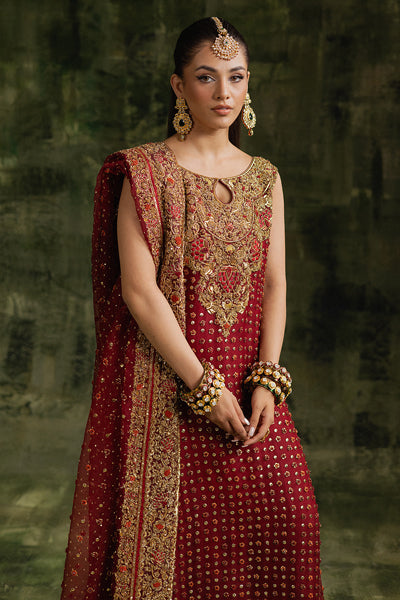 Zoya - Saranaqvistore